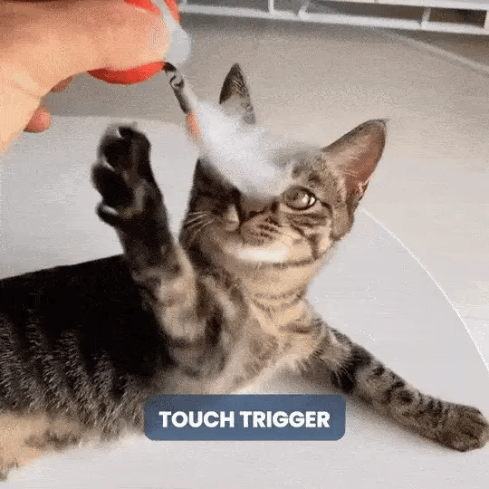 PawPlay